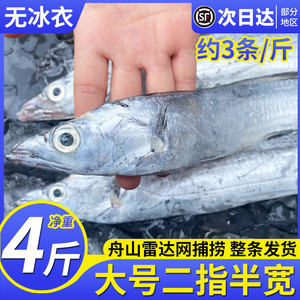 带鱼新鲜冷冻整条4斤12-14条非中段带鱼段鲜活海鲜水产整箱10舟山