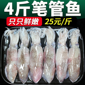 4斤海兔子非满籽笔管鱼海兔鲜活籽乌海鲜水产小鱿鱼非带籽墨鱼
