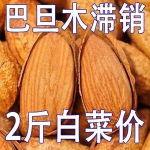 【新货特价】巴旦木奶香味大颗粒含罐薄壳手剥杏仁坚果休闲零食