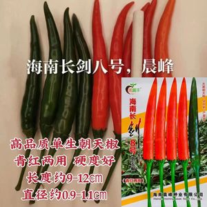 海南长剑8号朝天椒种子青红两用大果型单生朝天椒小米椒种子高产