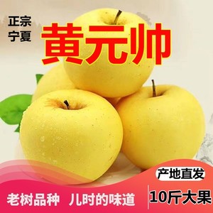 宁夏富硒黄元帅苹果黄蕉青苹果新鲜水果甜脆 黄苹果 9斤 老幼皆宜