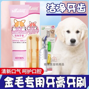 金毛专用狗狗牙膏除口臭可食用宠物牙刷牙膏套装刷牙神器清洁用品