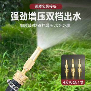 铜质宝塔接头高压洗车水枪增压水管家用喷嘴喷枪喷水头4/6分水嘴