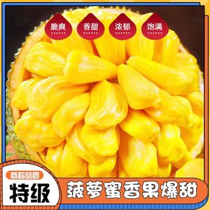 海南三亚热带区域现摘榴莲菠萝蜜一整个10斤脆甜包邮南方水果新鲜