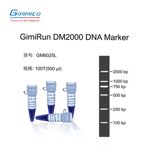 DNA Marker/琼脂糖凝胶电泳, DM2000，DM5000, 核酸染料Gelred