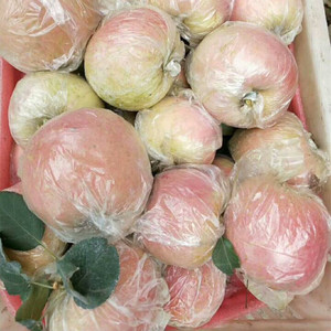 新鲜大沙河红富士丑苹果10斤包邮现摘发脆甜水当季整箱徐州丰沛县