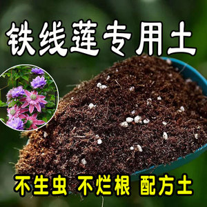 铁线莲专用营养土 铁线莲专用土 盆栽通用型种花养花种植土有机土