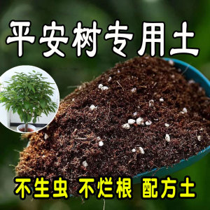 平安树专用营养土 平安树专用土 盆栽通用型种花养花种植土有机土