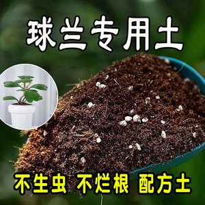 球兰专用营养土 球兰专用土 盆栽有机土花土种花养花种植土壤花卉