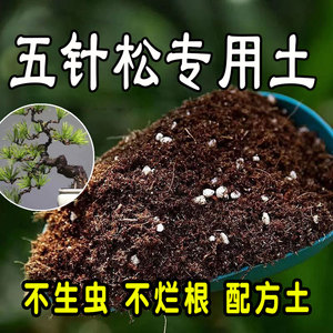 五针松专用营养土 五针松专用土 盆栽通用型种花养花种植土有机土