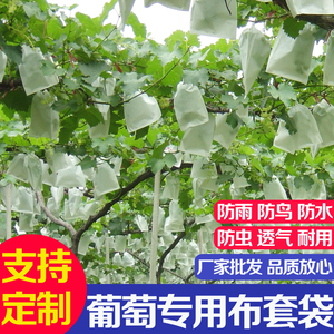 水果套袋无纺布葡萄水果新型防虫防水防雨桃子梨子羊角蜜防鸟果袋