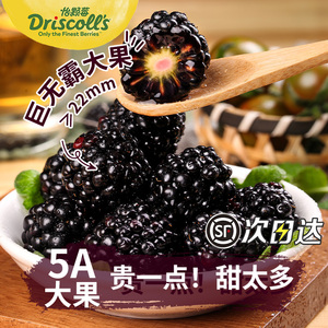 怡颗莓黑莓鲜果新鲜水果覆盆子稀有热带黑树莓2当季整箱桑葚顺丰