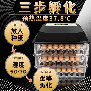 。鹅蛋家a化孵机化的孵器器机器敷化器鸡蛋孵用机全自动小鸡型小