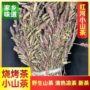 云南特产野山茶野生花草茶茶叶小山茶东紫苏梭罗茶松毛茶南松毛茶