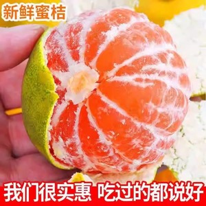 云南蜜桔新鲜10斤橘子薄皮青黄皮当季酸甜孕妇水果柑橘桔子蜜橘9