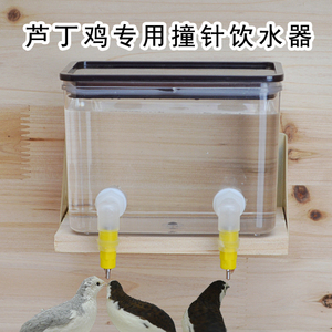 芦丁鸡喂食器自动饮水器鸟用下料食盒食盆饲料撞针饮水器喝水防污