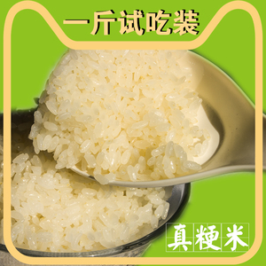 洪泽大米南梗米油粘糯软香米煮粥米新米江苏试吃一斤胚芽米晚粳米