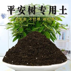 平安树专用土幸福树土壤盆栽土营养土绿植酸性沙质种植土有机肥料