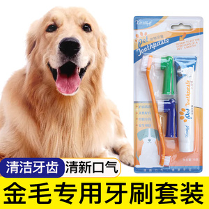 金毛专用狗狗牙刷宠物牙膏套装刷牙清洁用品口腔牙用具指套