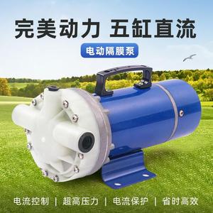 电动喷雾器高压农用12V48V60V打药机5缸隔膜泵自吸式灌水冲肥泵