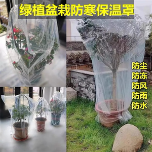 冬天室外花卉植物保温罩塑料袋保护树木防冻果树保暖罩塑料薄膜布