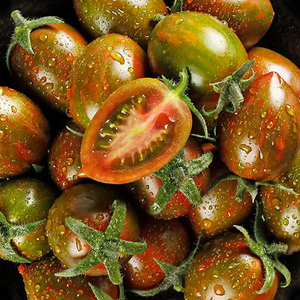 草莓铁皮柿子迷彩小番茄种子小圣女果种籽水果樱桃番茄小番茄孑