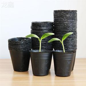盆栽小号育苗专用盆一次性培育幼苗西瓜种子魔芋营养杯塑料盆种植