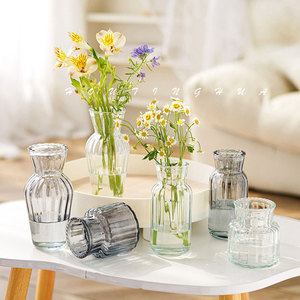 【三件套】ins风简约玻璃小花瓶水培绿植居家装饰客厅插花器摆件