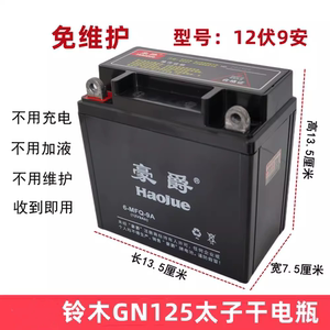 铃木GN125太子摩托车电瓶12N9A干电瓶免维护全新蓄电池12N9L-BS