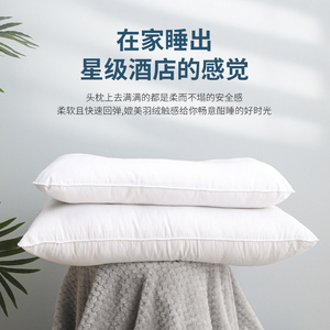 枕头枕芯内胆家用护颈单人双人一对装定型白色长方形柔软通用高枕