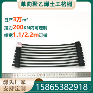 单向聚乙烯塑料土工格栅 软基处理双向拉伸格栅 公路铁路路基厂家