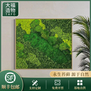 永生苔藓大灰藓定制微景观白发藓仿真青苔鱼缸造景室内盆景绿植墙