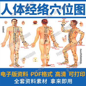 男女人体经络穴位图PDF电子版高清全身结构标准大图片详解素材