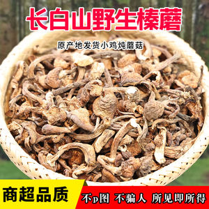 东北野生榛蘑腌制草蘑菇辽宁长白山特产食用真蘑榛蘑新鲜臻蘑珍蘑