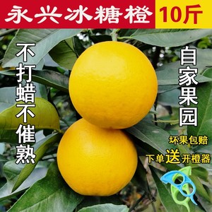 正宗永兴冰糖橙湖南郴州特产超甜橙子当季水果10斤非麻阳橙子