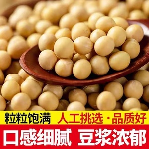 东北新黄豆打豆浆用非转基因大豆农家发豆芽粗粮黄豆杂粮