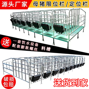 带粪板母猪限位栏落地式简易产床栏加厚热镀锌母猪定位栏养殖设备