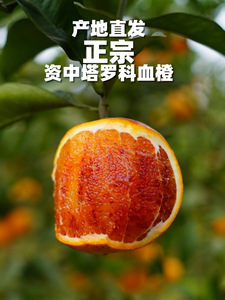 四川资中血橙新鲜水果塔罗科血橙红心整箱当季10斤装正宗特产橙子