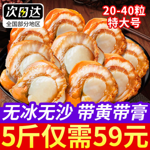 扇贝肉新鲜冷冻带黄超级大号粉丝扇贝黄蚬子鲜活批发商用海鲜红贝
