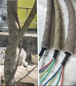 防水树枝防护穿线管软管导线管皮管套管皮包缠绕室外遮挡花盆藤条