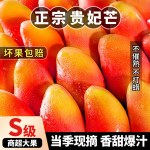 【5斤】海南贵妃芒芒果新鲜当季大果树上熟红金龙辣椒芒水果整箱
