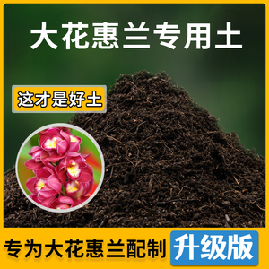 大花惠兰专用土家用种植土大花惠兰营养土盆栽种花养花有机土肥料