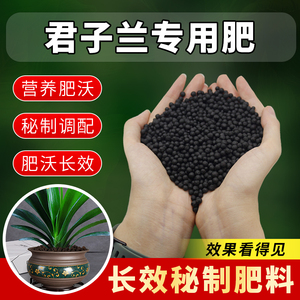 君子兰专用肥料室内盆栽促花君子兰有机复合肥兰花四季生根颗粒肥