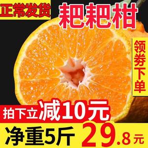 四川蒲江不知火丑柑新鲜特级5斤水果整箱丑粑粑柑橘子10杷杷柑桔