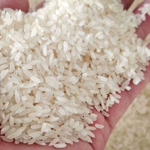 泰沙珍桂米老米陈米肠粉用米 5斤散装银记肠粉早稻米石磨肠粉米