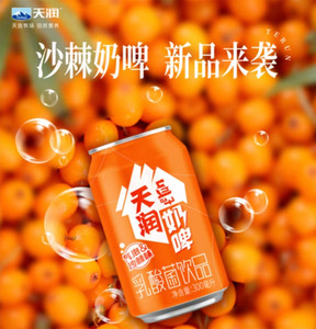 【新品】天润奶啤气泡沙棘味乳酸菌饮料0酒精添加牛乳发酵300ml罐