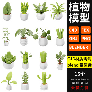 blender卡通植物仙人掌盆栽多肉C4D绿色植物fbx ojb模型素材png