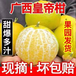 广西皇帝柑特级纯甜大果10斤橘子黄帝甘帝王贡柑橙桔当季新鲜水果