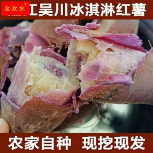 湛江吴川新鲜红薯冰淇淋番薯一点红农家自种现挖花青素紫心薯地瓜