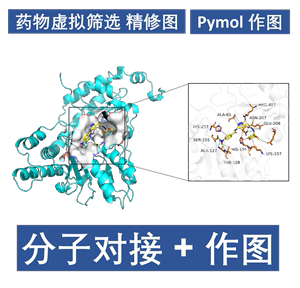 分子对接 药物虚拟筛选Pymol作图autodock vina DS金属酶柔性对接